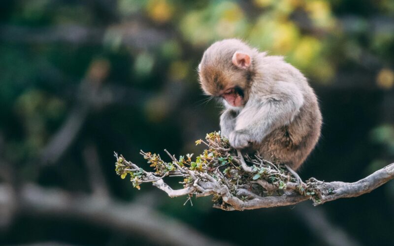 Verhuizing besparen met CashbackXL